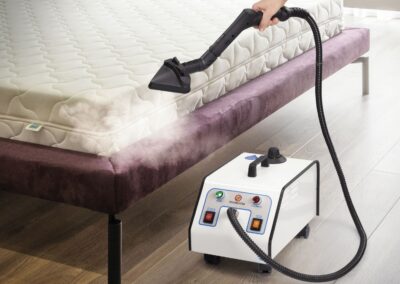 STI BugsBuster Seng
